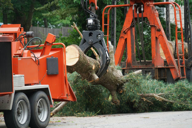 Mulching Services in Lake Arbor, MD